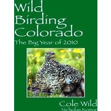 Wild Birding Colorado