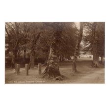 THE AVENUE, MANATON, DEVON .unused antique postcard RP by Judges
