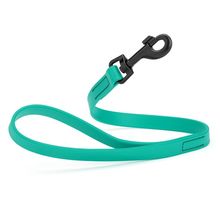 Dog Pet Waterproof Leash - W3/4" x L2' - Teal