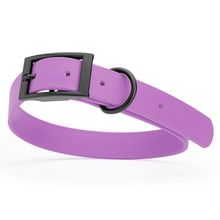 Dog Pet Waterproof Collar - W1" x L22"-25" - Amethyst Purple