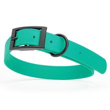 Dog Pet Waterproof Collar - W1" x L22"-25" - Teal