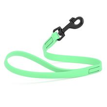 Dog Pet Waterproof Leash - W3/4" x L2' - Sea Foam Green