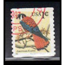 Used 3044 1c American Kestrel Fine CNS 1111 BYCM Type I SD PA6905