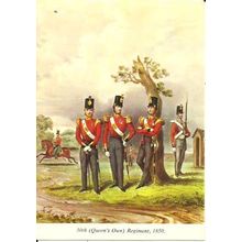 Art 50th (QUEEN'S OWN) REGIMENT (Medici 1606)