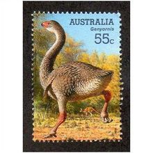 AUS 2008 55c 'MEGAFAUNA -GENYORNIS' FINE USED (EBID29-064)