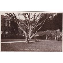 ED 471 HADDON HALL - THE TERRACE. RP POSTCARD