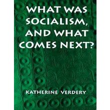What Was Socialism, and What Comes Next?
