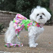 Pink Hawaiian Floral Dog Harness Dress with Matching Leash Xlarge