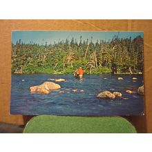 PORTLAND CREEK RIVER, near CORNER BROOK, NEWFOUNDLAND. unused postcard =