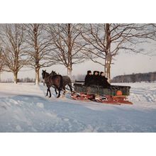Ontario Mennosite Family on Way Home in Elmira Snow Plough Canadian Postcard