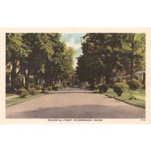 Residential Street Peterborough Ontario Canada Antique Postcard