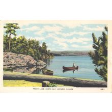 Man Rowing on Trout Lake Ontario Canada Antique Postcard