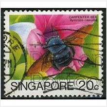 1985/1989 SG 494 - fine used (o)