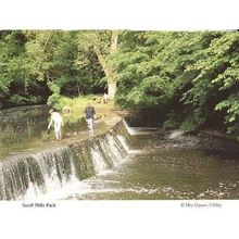 Snuff Mills Park Bristol Gloucester Fishing Metal Detector Rare Photo Postcard