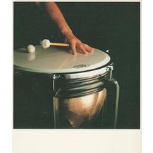 Percussion Drummer Of Rotterdam Holland Orchestra Award Photo Postcard
