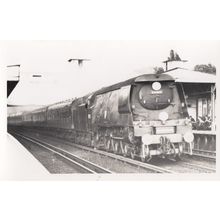 34015 Train At Surbiton Station in 1966 Vintage Railway Photo