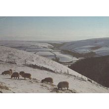 Malsmead From County Gate in Winter Somerset Exmoor National Park Postcard