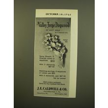 1961 J.E. Caldwell Jewelry Advertisement - Valley Forge Dogwood