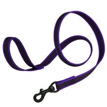 Rubber Infused Nylon Leash W3/4" x L 6' Purple