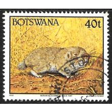 1992 Animals 40t Fine Used C1