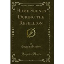 Home Scenes During the Rebellion (Classic Reprint)