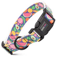 Dog Pet Fruits Quick Release Printed Collar 1" x 15"- 23"