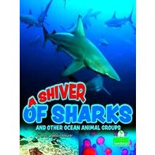 A Shiver Of Sharks And Other Ocean Animal Groups