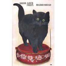 Good Luck From Maidenhead Berks Cat Novelty Mailing Old Postcard