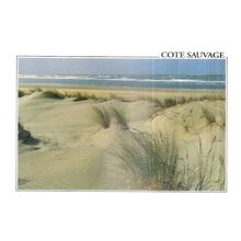 COTE SAUVAGE, QUIBERON, FRANCE unused postcard =