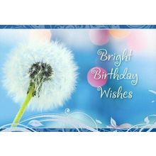 Bright Birthday Wishes - General Birthday Greeting Card - 01210-1