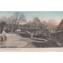 Beamish Burn Bridge County Durham Antique 1906 Postcard