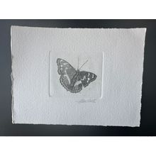 Belgique 1993 COB 2504 Epreuve d'artiste FDC Papillon Butterfly Apatura iris