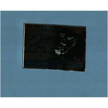 2010 Press Pass Eclipse Jeff Gordon-Focus