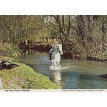 Much Hadham Horse Riding Jumping Herts Hertfordshire Race Galloping Postcard