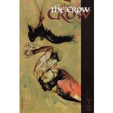 Crow # 005 NM MODERN AGE COMICS