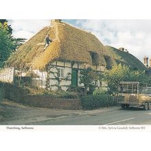 Thatching Selbourne Hampshire Womens Institute Postcard