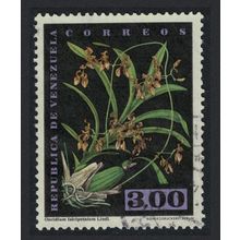 Venezuela Orchid 'Oncidium falcipetalum Lindl 3B KEY VALUE 1962 Canc