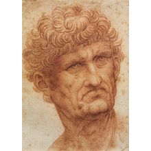 Leonardo_da_Vinci_Head_of_a_Man Art Gallery Poster Canvas Print Wall Decoration
