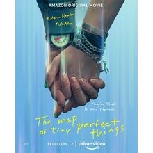 The Map of Tiny Perfect Things 1 Poster Canvas Movie Film Print A0 A1 A2 A3 A4 A