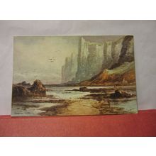 SPEETON CLIFFS, YORKSHIRE unused antique postcard Dainty series ./