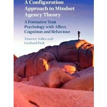 A Configuration Approach to Mindset Agency Theory