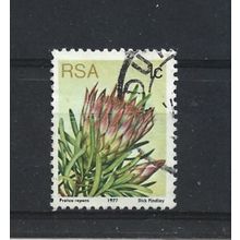 SouthAfrica.SG414 1c Protea Repens.Fine Used.Sep25y