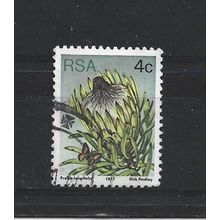 SouthAfrica.SG417 4c Protea Longifolia.Fine Used.Sep25x