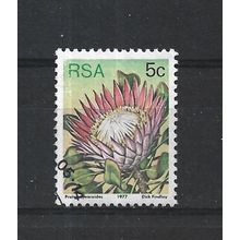 SouthAfrica.SG418 5c Protea Cynaroides.Fine Used.Sep25z