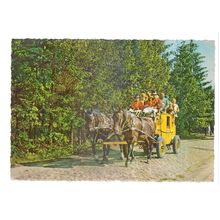 HORSES & CARRIAGE, HEIDE, GERMANY . used vintage postcard 1964 postmark #