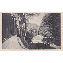 Luftkorort Wirsberg Antique German Postcard