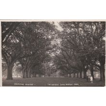 EC313 CHIPPING NORTON - THE AVENUE OVER NORTON PARK. R/P POSTCARD