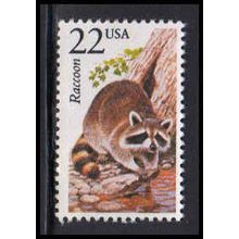 2331 22c Raccoon Fine MNH V4122