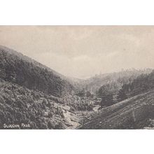 Sluggan Pass Aviemore Antique Scottish Postcard