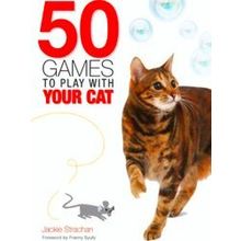 50 Games To Play With Your Cat